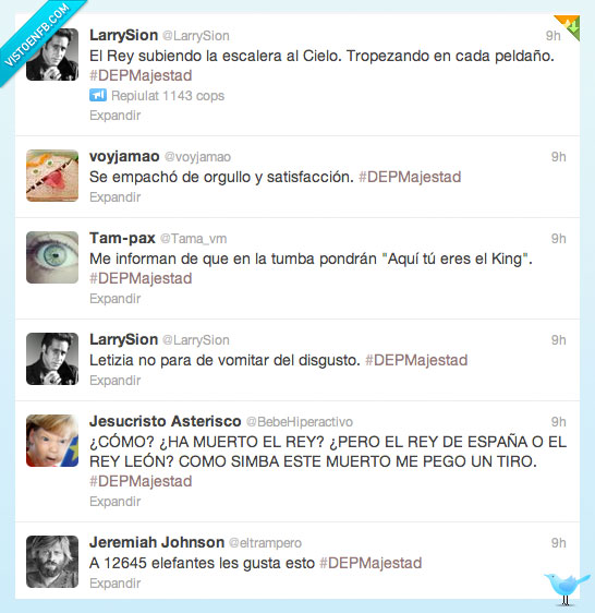 Rey,#DEPMajestad,Simba,rey de España,majestad