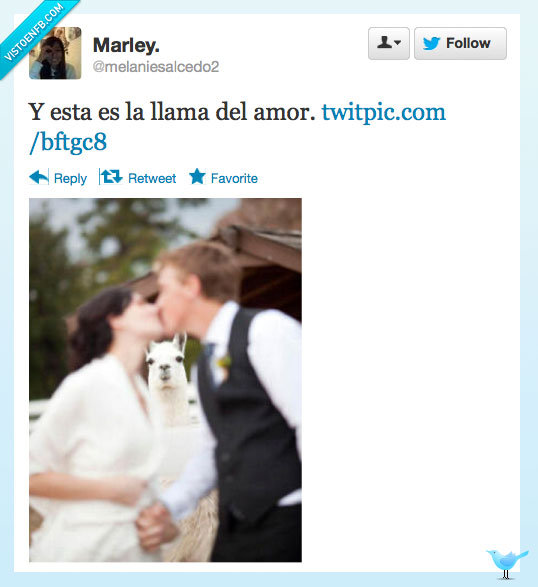 amor,boda,parejas,llama