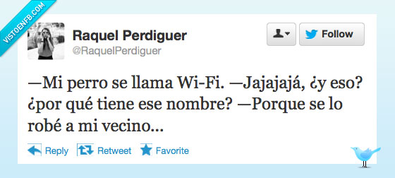 Wifi,perro,vecino,robar,nombre