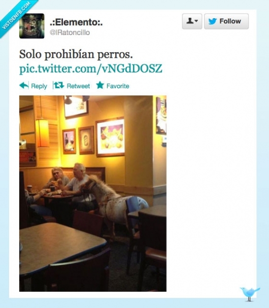 poni,pony,caballo,bar,perro,mesa,y tan tranquilamente