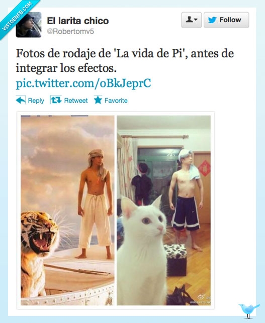 vida,pi,rodaje,efectos,gato,tigre