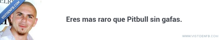 tiene los ojos claros wtf?,gafas,mas,raro,pitbull