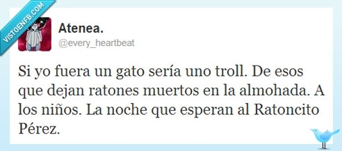 almohada,Ratoncito Pérez,mi gato se llama guantes,troll,gato