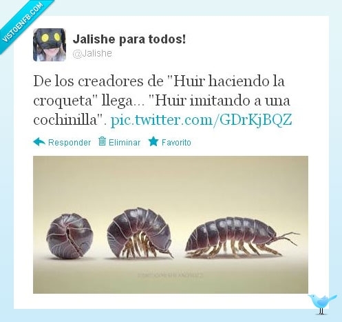 Huir,Croqueta,Cochinilla