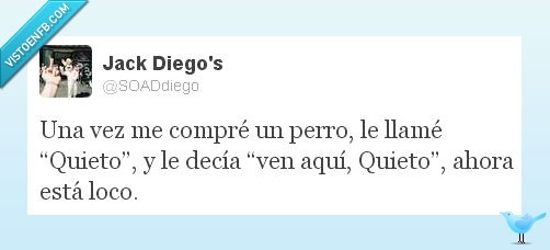 movimiento,quieto,perro,loco,twitter