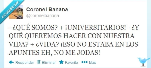 decisiones,twitter,universitarios,apuntes,tontos