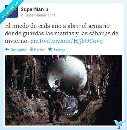 el arca perdida,mantas,cada año,miedo,indiana jones