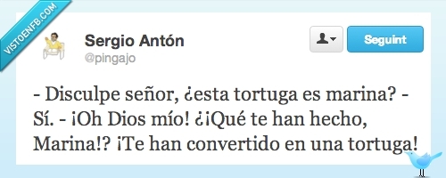 convertido,twitter,tortuga,marina