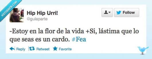 cardo,piropo,flor,Fea