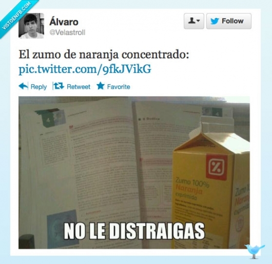 foto,leer,estudiar,zumo,naranja,concentrado