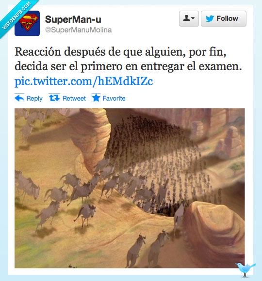 estampida,rey león,corre corre,examen,entregar