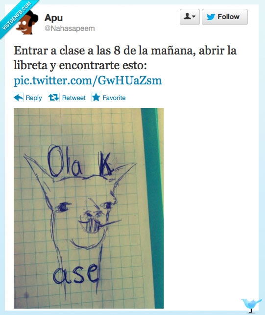 ola k ase,llama,alpaca,libreta,dibujo