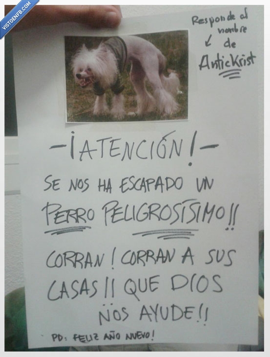 antickrist,wtf,risa,vecinos,cartel,loco,perro