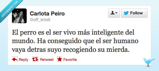 vivo,ser,S18,recogiendo,perro,inteligente,humano,detras