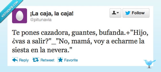 obvio,siesta,nevera,salir,bufanda,guantes,madre,abrigar,cazadora