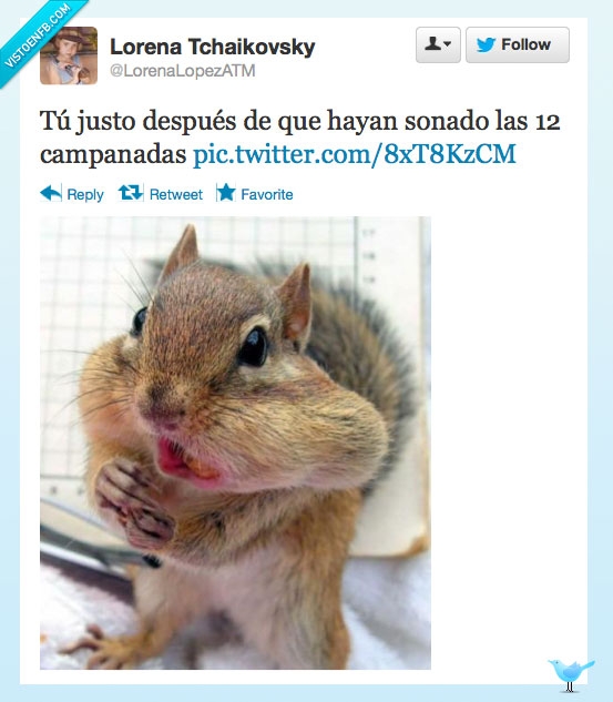 uva,campanada,llena,boca,ardilla