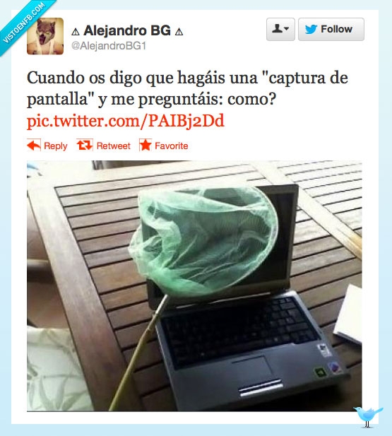 tonto,red,error,fail,captura de pantalla,caza