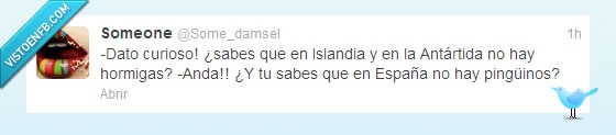 pinguino,saber,pesado,españa,antartida,hormiga