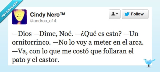 castor,pato,ornitorrinco,Noé