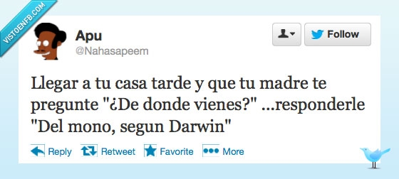 mama,calle,segun,teoria,mono,hombre,darwin