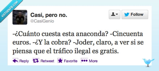 cobra,serpientes,CasiGenio,Twitter