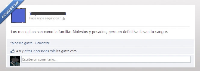 mosquito,sangre,familia,pesado,molesto