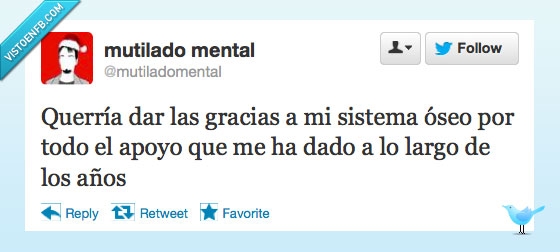 huesos,óseo,apoyo,amigo,cuerpo