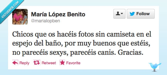 espejo,foto,bueno,cani,camiseta