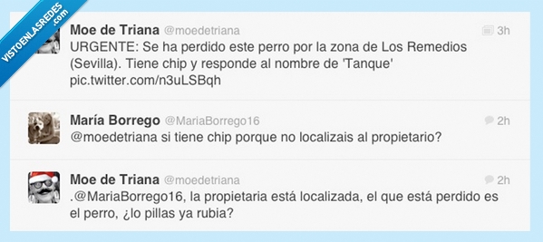 tonta,perro,perder,perdido,rajoy carón,rubia