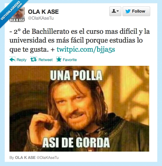 universidad,bachillerato,gorda,boromir,facil,estudias,gusta