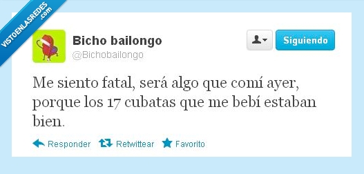 Fiesta,alcohol,noche vieja,cubata,beber,bebi,comida,exceso