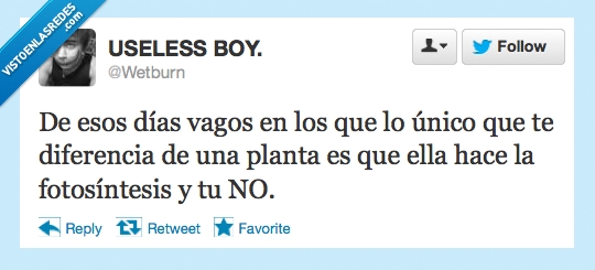 planta,vago,fotosintesis,wetburn,twitter