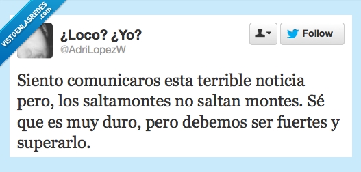 terrible noticia,noticia,fuertes,superar,saltamontes,saltar,montes,duro