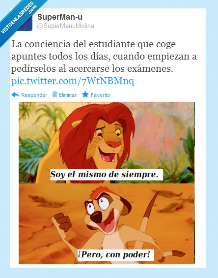 el rey león,timón,simba,apuntes,exámenes,estudiante,poder