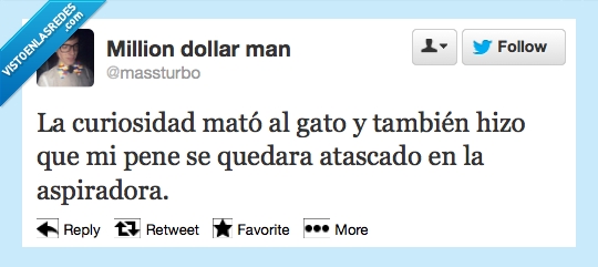 atascado,gato,curiosidad,Aspiradora