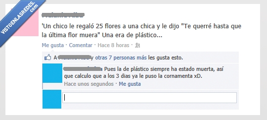 Flores,muertas,morir,ultima,dejar,querer,plastico,cornamenta,cuernos