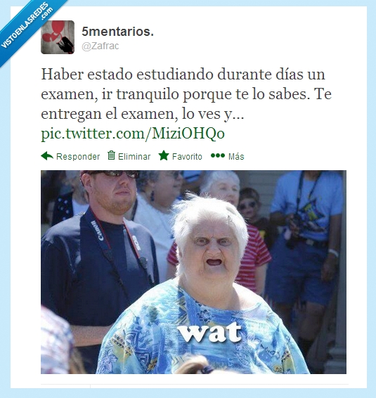 universidad,aprender,saber,examen,estudia,what,señora,wat