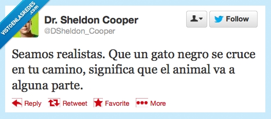 parte,alguna,va,camino,negro,gato