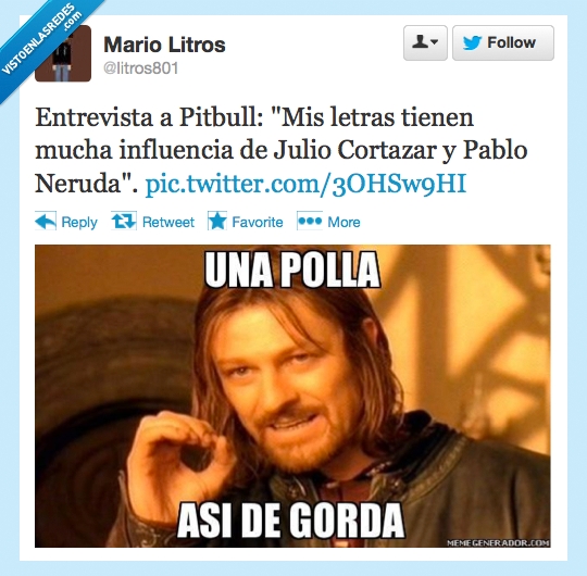 pitbull,señor de los anillos,elrond,concilio,boromir,gorda,neruda,cortazar