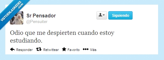 odio,despertar,estudiar,despierten,estoy,cuando,estudiando