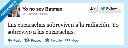 Batman,radiación,cucarachas,twitter,sobreviven,sobrevivo
