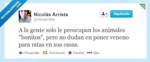 bonito,preocupa,gente,animal,veneno,rata,casa