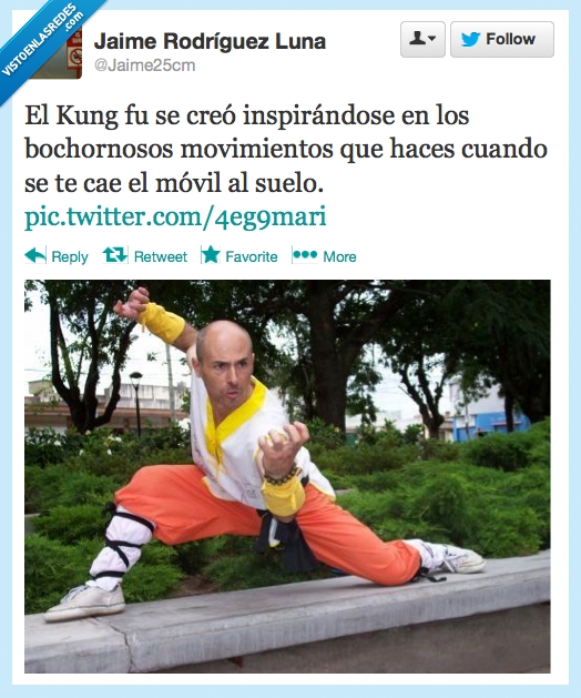 Kung fu,móvil,ridículo,pose,cae,coger,aire