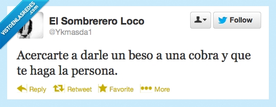 cobra,persona,beso,acercar