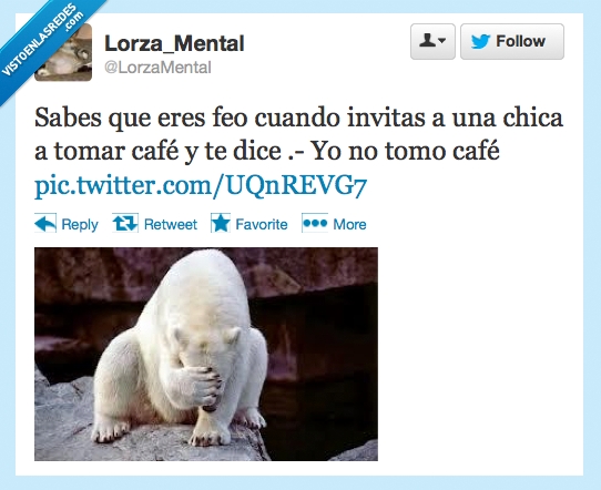 polar,oso,no,dice,cafe,tomar,chica,invitas,eres,sabes,feo
