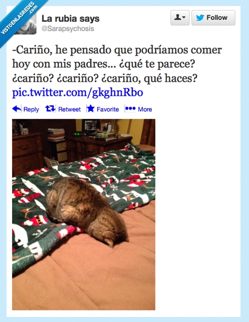 cama,cara,cariño,Twitter,twitt,gato,comer,Suegra