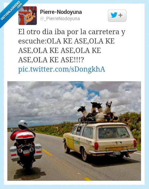 ke ase,ola,dise,kiere,carretera,coche,llama,alpaca