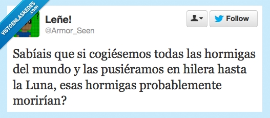 hormigas,espacio,luna,morir,hilera