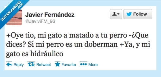 gato,perro,hidraulico,doberman,matar