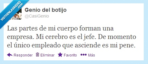 cuerpo,parte,empresa,cerebro,jefe,empleado,asciende